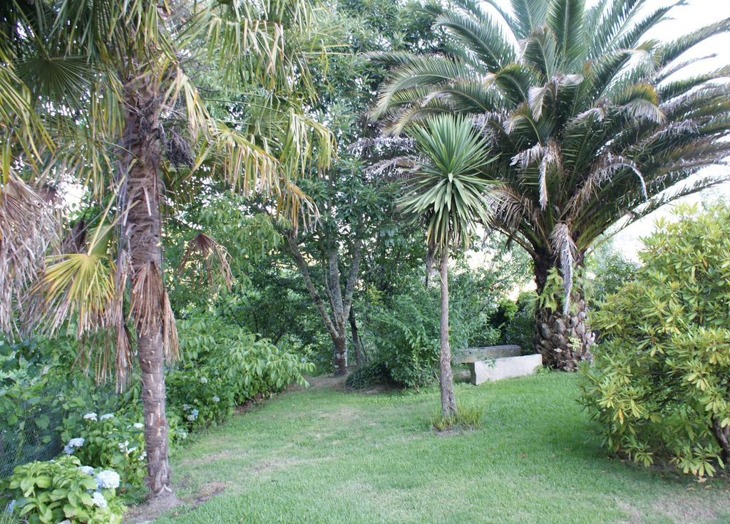 Quinta De Canhoes Сан-Педру-ду-Сул Экстерьер фото